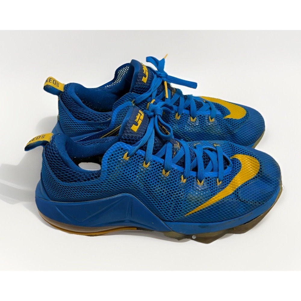 Size‎ 10.5 - Nike LeBron 12 Low Entourage Basketball Shoe Rare Blue Gold